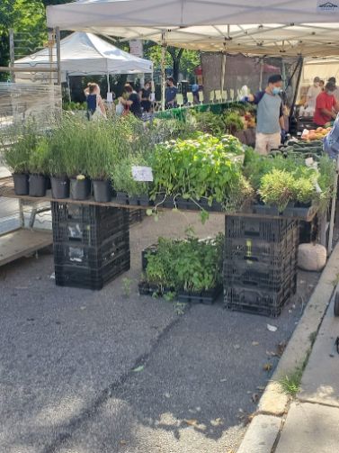 Awning Carroll Gardens Greenmarket Brooklyn NY
