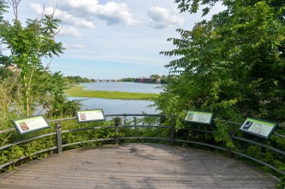 Fresh Creek Nature Preserve, Canarsie, Brooklyn, NY