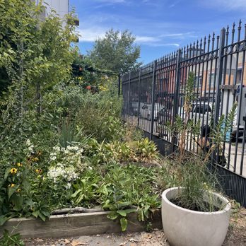 Prospect Heights Community Farm, Prospect Heights, Brooklyn, NY